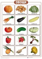 Таблицы "Окружающий мир" (формат А2, ламинированные, 10 таблиц) - fgospostavki.ru - Белогорск