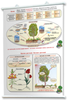 Плакаты по природоведению 2-3 классы. Для оформления кабинета. - fgospostavki.ru - Белогорск