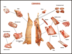 Таблица "Правила разделки мясных туш. Свинина" (100х140 сантиметров. винил) - fgospostavki.ru - Белогорск
