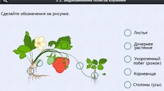 Интерактивные курсы. Биология 7 класс. Расширенный. - fgospostavki.ru - Белогорск