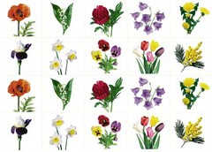 Комплект карточек "Запоминай, играй, считай" - Цветы - fgospostavki.ru - Белогорск