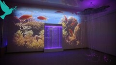 Проекционный дизайн виртуальной реальности Расширеный пакет - fgospostavki.ru - Белогорск
