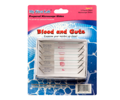 Набор микропрепаратов для микроскопа №1 «Человек» - fgospostavki.ru - Белогорск