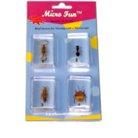 Набор микропрепаратов для стереомикроскопа №14 «Насекомые» - fgospostavki.ru - Белогорск