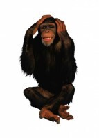 Комплект карточек "Запоминай, играй, считай" - Дикие животные - fgospostavki.ru - Белогорск