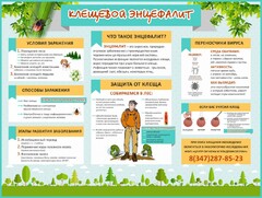 Стенд "Клещевой энцефалит" - fgospostavki.ru - Белогорск