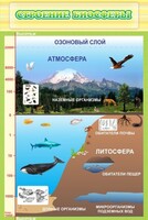 Стенд "Строение биосферы" - fgospostavki.ru - Белогорск