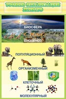 Стенд "Уровни организации живого" - fgospostavki.ru - Белогорск