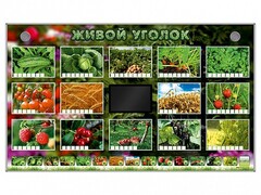 Комплект оборудования "Живой уголок" (растения) - fgospostavki.ru - Белогорск