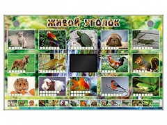Комплект оборудования "Живой уголок" (животные) - fgospostavki.ru - Белогорск
