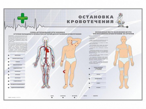 Электрифицированный стенд "Остановка кровотечения" - fgospostavki.ru - Белогорск
