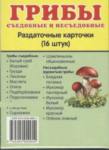 Раздаточные карточки "Грибы съедобные и не съедобные" - fgospostavki.ru - Белогорск