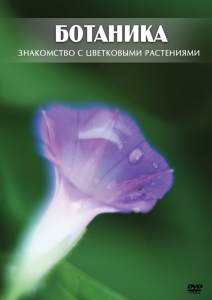 DVD "Ботаника. Знакомство с цветковыми растениями" - fgospostavki.ru - Белогорск