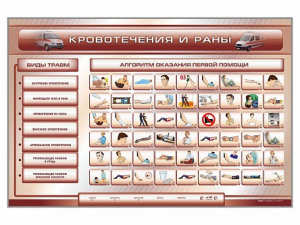 Трехсекционный базовый комплект "Травмы. Кровотечения. Ожоги" для учащихся общеобразовательных учреждений - fgospostavki.ru - Белогорск