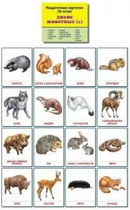 Раздаточные карточки "Дикие животные (1)" - fgospostavki.ru - Белогорск