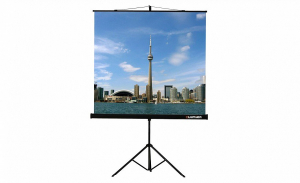 Проекционный экран на штативе Lumien Eco View (LEV-100105) 160x160 см - fgospostavki.ru - Белогорск