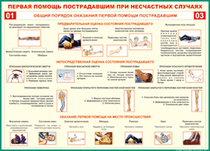 Таблица "Общий порядок оказания первой помощи пострадавшим" (100х140 сантиметров, винил) - fgospostavki.ru - Белогорск
