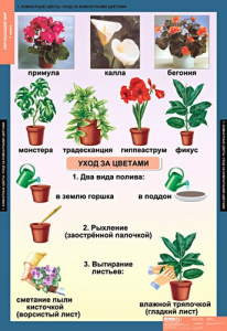 Комплект таблиц. Окружающий мир 1 класс. - fgospostavki.ru - Белогорск