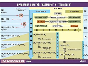 Таблица демонстрационная "Сравнение понятий изомер и гомолог" (винил 100x140) - fgospostavki.ru - Белогорск