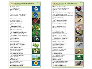 Комплект карточек (10) "Обучающий калейдоскоп. Природа" - fgospostavki.ru - Белогорск