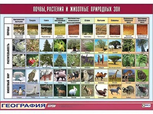 Таблица демонстрационная "Почвы, растения и животные природных зон" (винил 70*100) - fgospostavki.ru - Белогорск