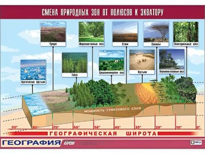 Таблица демонстрационная "Смена природных зон от полюсов к экватору" (винил 100*140) - fgospostavki.ru - Белогорск