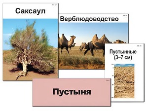 Модель-аппликация "Природные зоны России" (ламинированная) - fgospostavki.ru - Белогорск