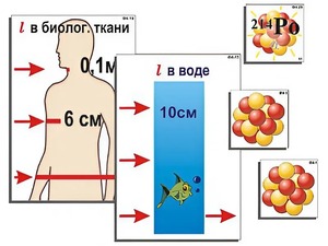 Модель-аппликация "Явление радиоактивности" (ламинированная) - fgospostavki.ru - Белогорск
