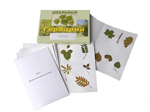 Гербарий "Морфология растений" (6 тем, 30 видов) - fgospostavki.ru - Белогорск