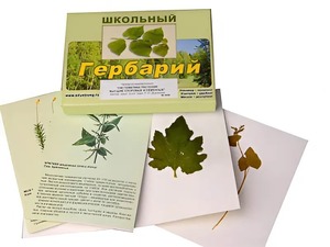 Гербарий "Систематика растений. Высшие споровые и семенные" (раздаточный) - fgospostavki.ru - Белогорск