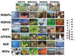Фенологические наблюдения - fgospostavki.ru - Белогорск