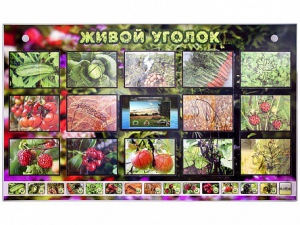 Комплект оборудования "Живой уголок" (растения) с тифлопереводом и сурдокомментариями - fgospostavki.ru - Белогорск