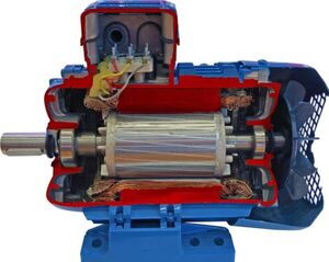 Учебная модель «Электродвигатель асинхронный в разрезе» - fgospostavki.ru - Белогорск