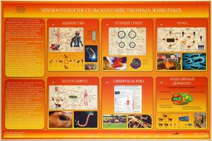 Электрифицированный стенд «Эпизоотология сельскохозяйственных животных» - fgospostavki.ru - Белогорск