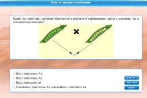 Интерактивные курсы. Биология 11 класс. Базовый. - fgospostavki.ru - Белогорск