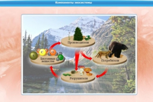 Интерактивные курсы. Биология 7 класс. Базовый. - fgospostavki.ru - Белогорск