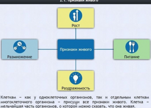 Интерактивные курсы. Биология 5 класс. Базовый - fgospostavki.ru - Белогорск