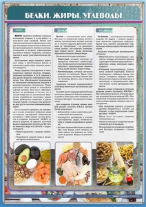Стенд "Белки. Жиры. Углеводы" - fgospostavki.ru - Белогорск