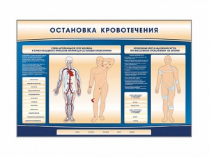Электрифицированный стенд-тренажер "Остановка кровотечения" - fgospostavki.ru - Белогорск