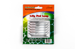 Набор микропрепаратов для микроскопа №7 «Лягушка» - fgospostavki.ru - Белогорск