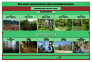 Стенд-планшет электрифицированный «Оценка пожарной опасности в лесах»  - fgospostavki.ru - Белогорск