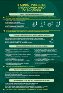 Стенд "Правила выполнения лабораторных работ по биологии" Вариант 1 - fgospostavki.ru - Белогорск