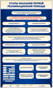 Электрифицированный стенд-тренажер "Этапы оказания первой реанимационной помощи" - fgospostavki.ru - Белогорск