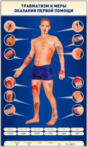Электрифицированный стенд-тренажер "Травматизм и меры оказания первой помощи" - fgospostavki.ru - Белогорск