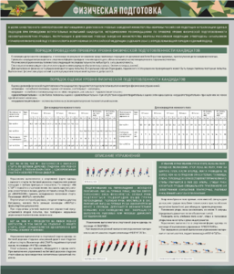 Стенд "Физическая подготовка" - fgospostavki.ru - Белогорск