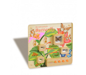 Панель «Жизненный цикл бабочки» - fgospostavki.ru - Белогорск