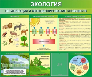 Стенд "Экология. Организация и функционирование сообществ" - fgospostavki.ru - Белогорск