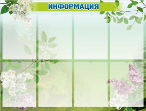 Стенд "Информация" Вариант 13 - fgospostavki.ru - Белогорск