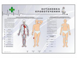 Электрифицированный стенд "Остановка кровотечения" - fgospostavki.ru - Белогорск