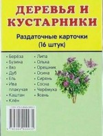 Раздаточные карточки "Деревья и кустарники" - fgospostavki.ru - Белогорск